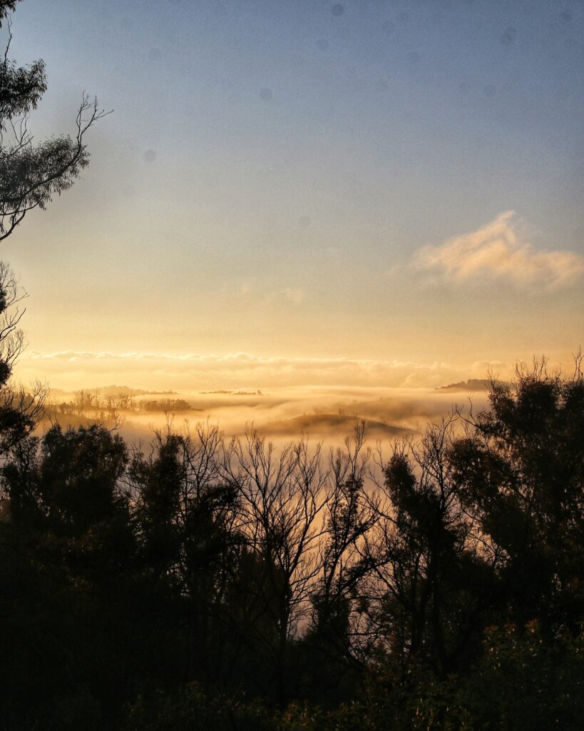 Saluting the sun + grounding practice views at fasting retreat NSW – forest immersion"